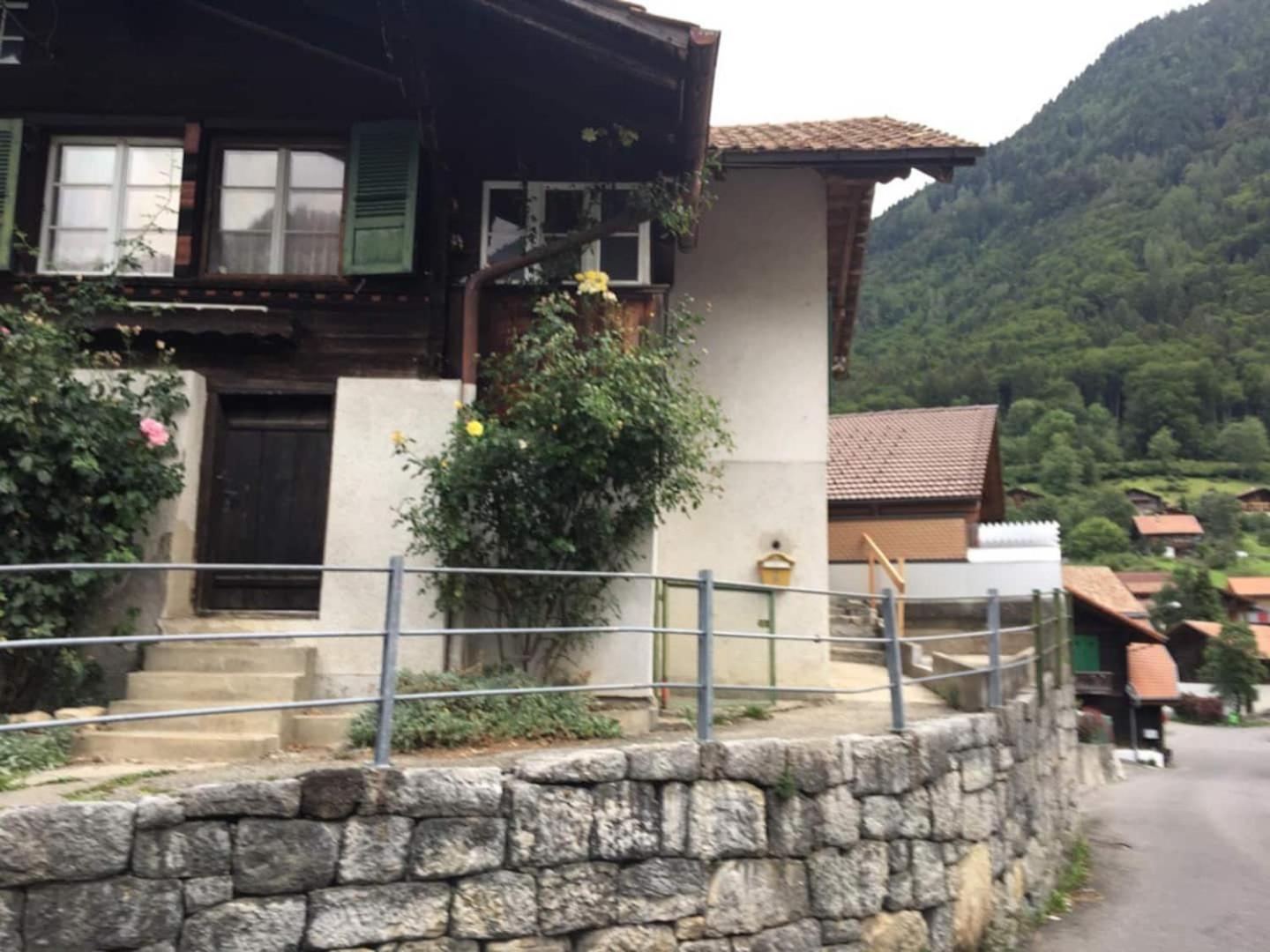 Studio In Alps By Apartments Capricorn غستيغفيلر المظهر الخارجي الصورة